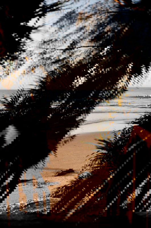 Damia (Pet Friendly)