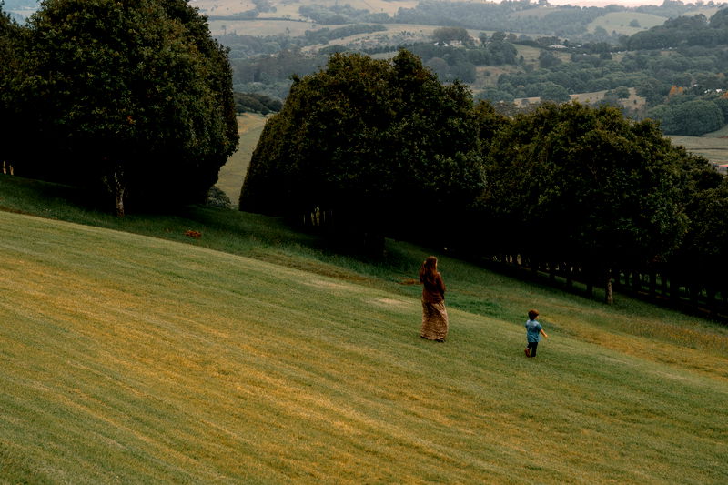 Damia (Pet Friendly)