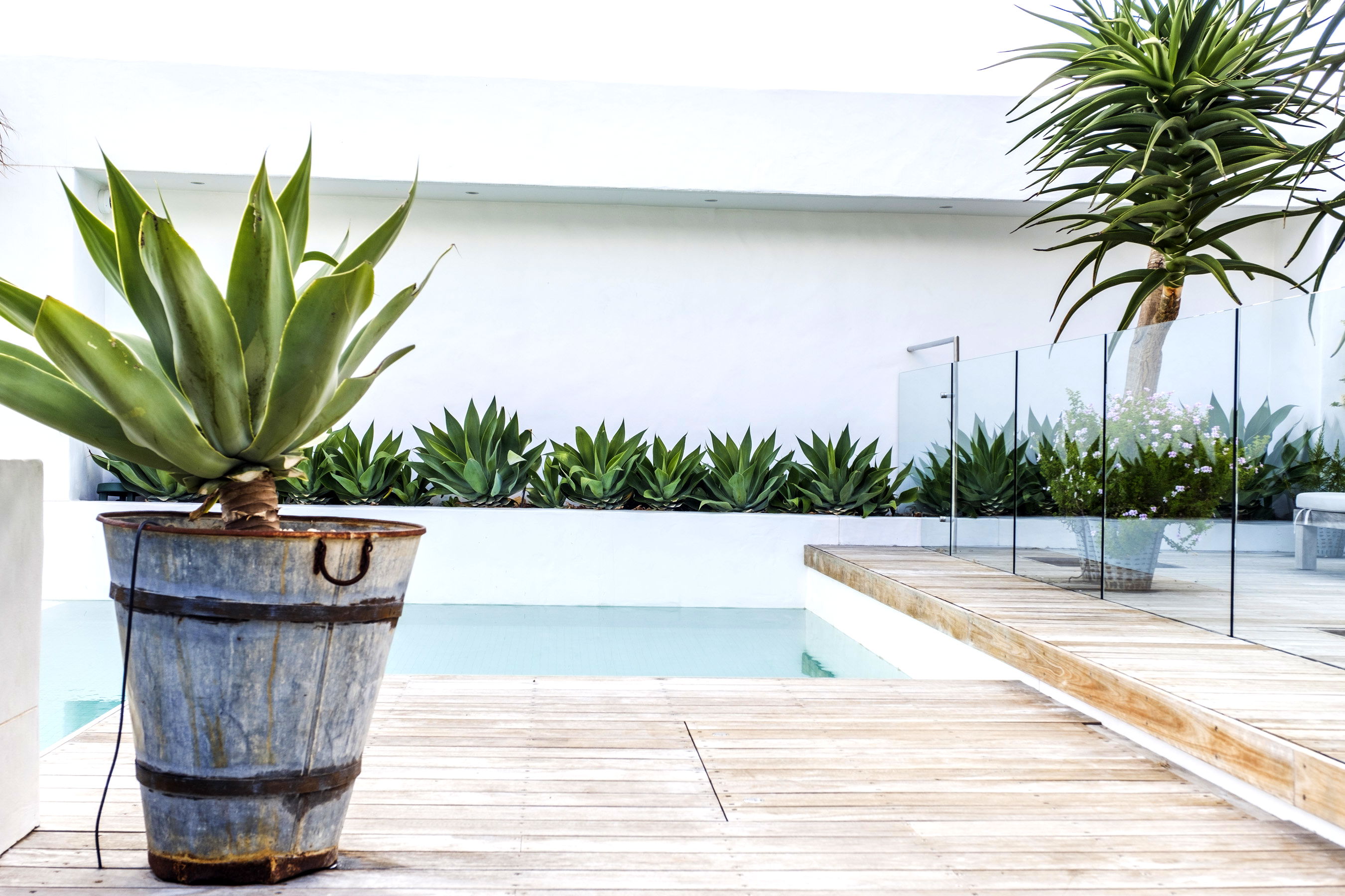 Agave Waterfront at Wagstaffe