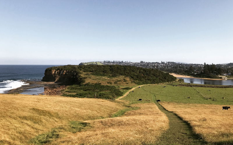 Dovecote (Ocean Views)
