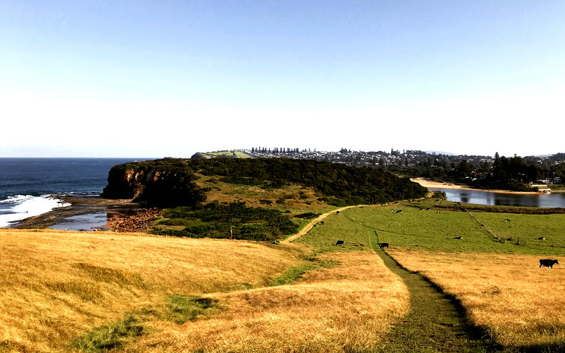Dovecote (Ocean Views)