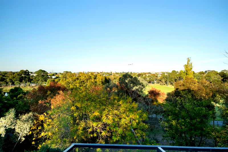 Como Park House (Pet Friendly)