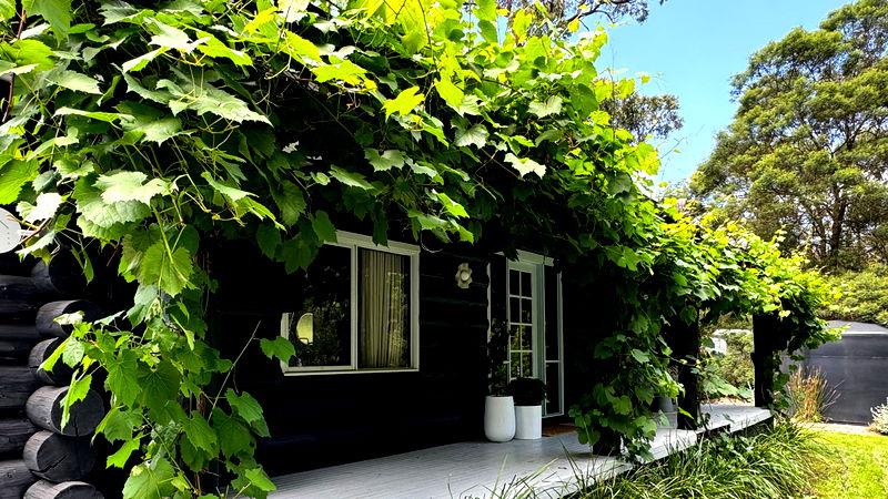 Norsu Cabin (With Car Parking)