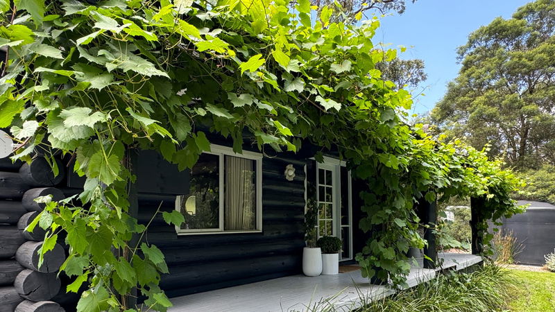 Norsu Cabin (With Car Parking)